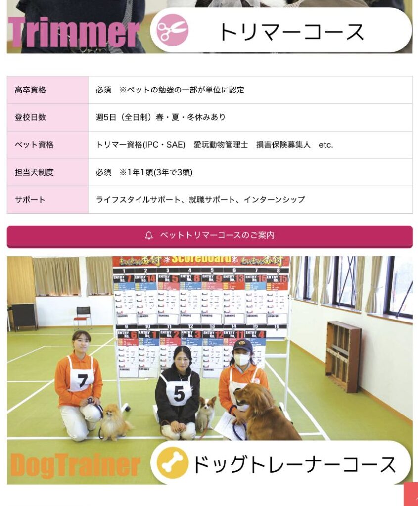NPC高等学院トリマーコースの週5日登校、資格、担当犬制度の案内