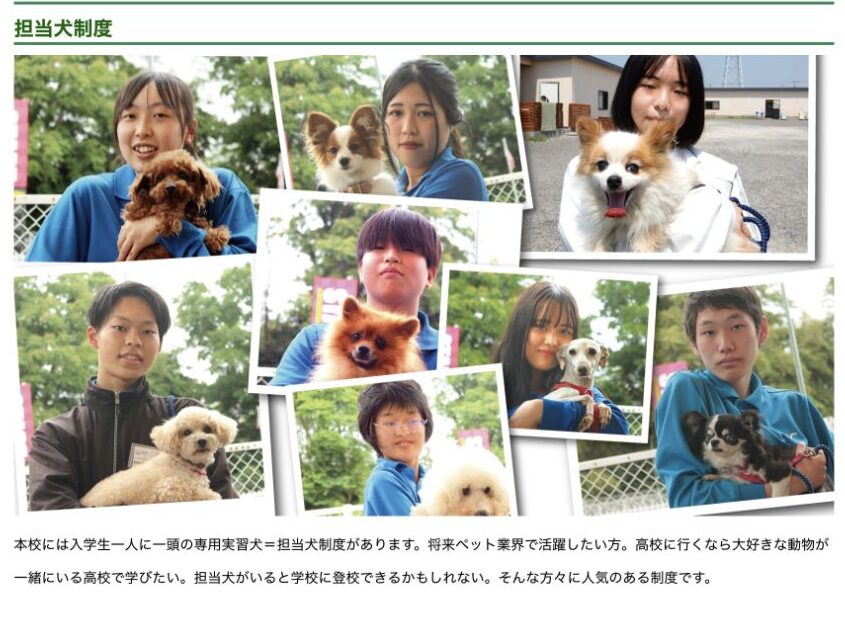 NPC高等学院の入学生一人に一頭の専用実習犬を割り当てる担当犬制度